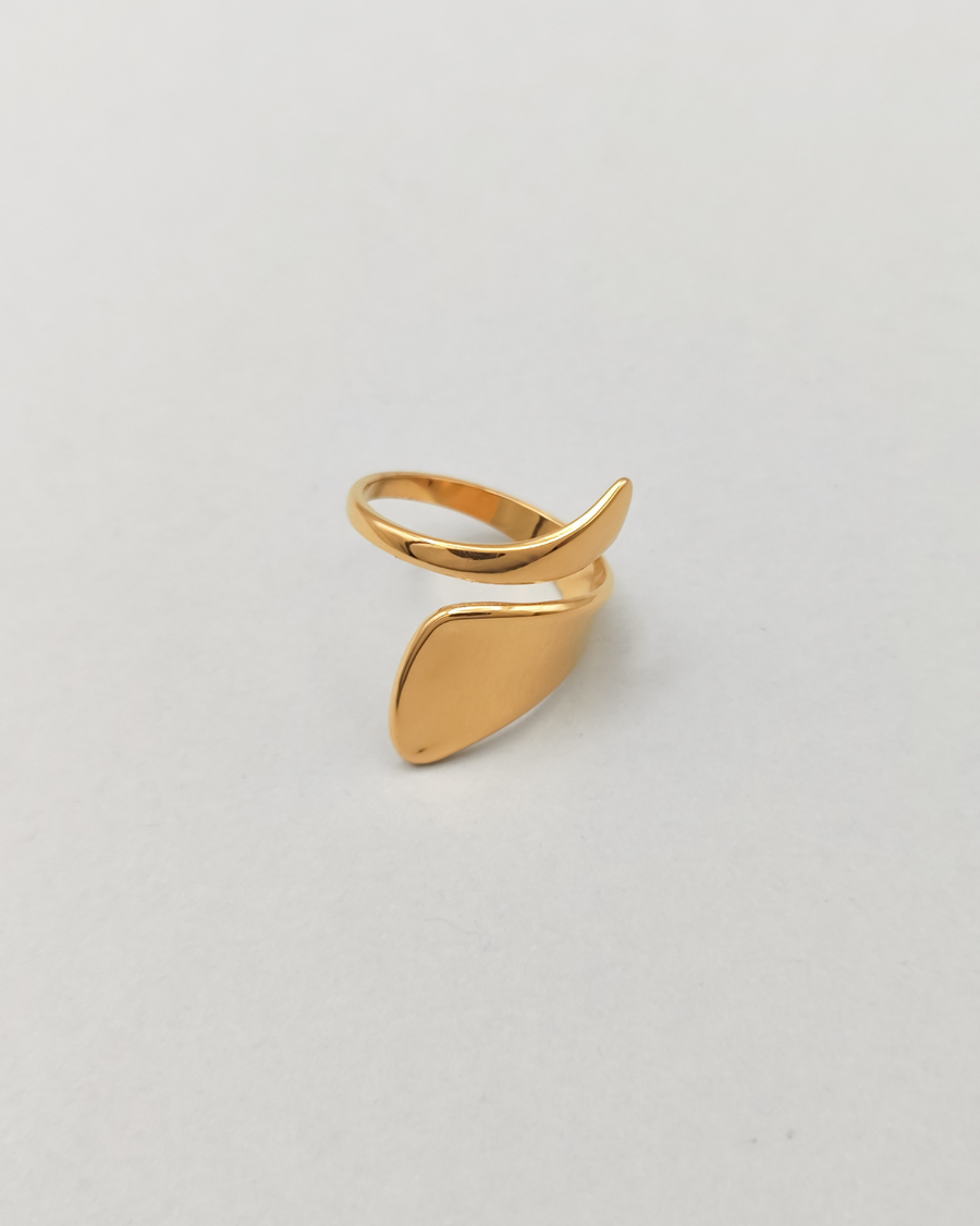 Anello Alice in acciaio inossidabile anallergico color oro. È rappresentato su sfondo grigio chiaro e si vede la forma a spirale più stretta da un lato e più larga dall'altro. È ripreso frontalmente.